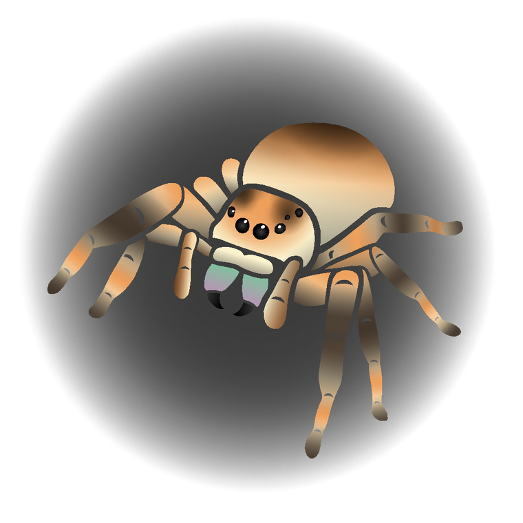 Graphic of an orange and tan jumping spider with green and purple fangs.